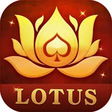 teen patti zoo apk download